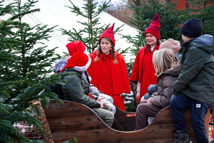 Christmas Market at Den Gamle By — Aarhus Old Town Holiday Experience photo 4