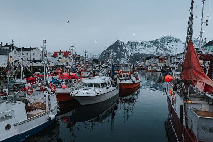 Half-Day Lofoten Scenic Sightseeing: Kabelvåg, Haukland & Henningsvær photo 5