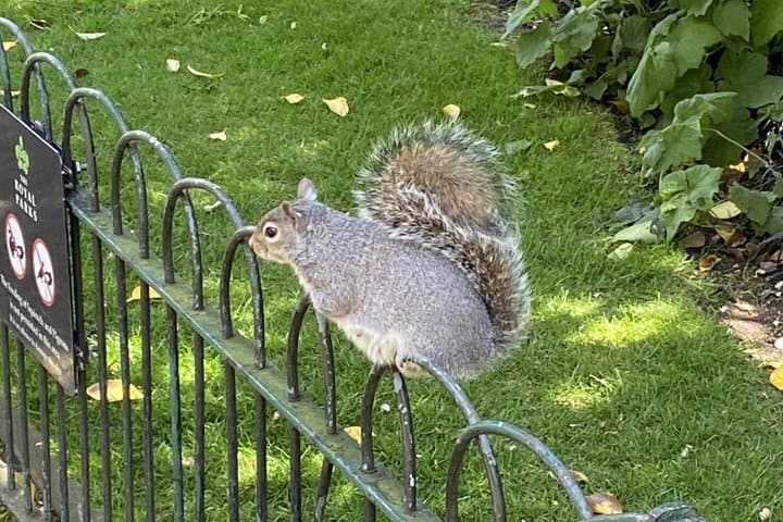 Kensington Gardens Self-Guided Family Tour — Interactive Kids' Trail in London photo 4