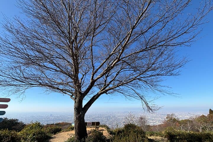 Summit Hike on Mt. Ikoma: Osaka Views, Cup Ramen and Mountain Coffee