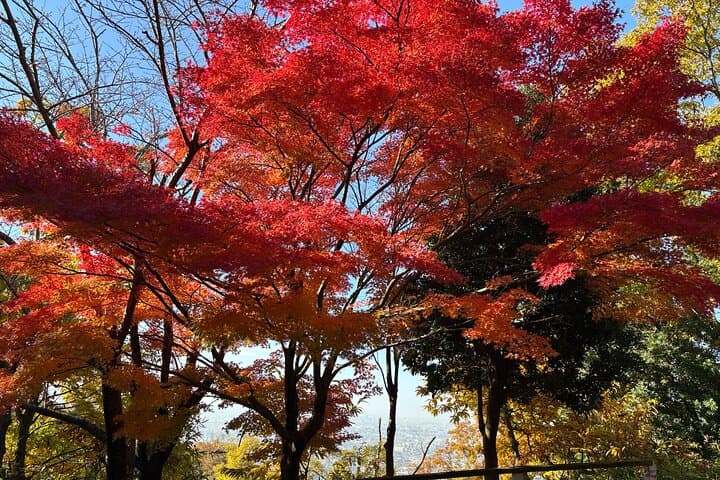 Summit Hike on Mt. Ikoma: Osaka Views, Cup Ramen and Mountain Coffee photo 5