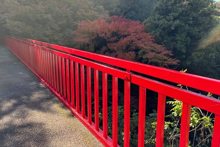 Summit Hike on Mt. Ikoma: Osaka Views, Cup Ramen and Mountain Coffee photo 6