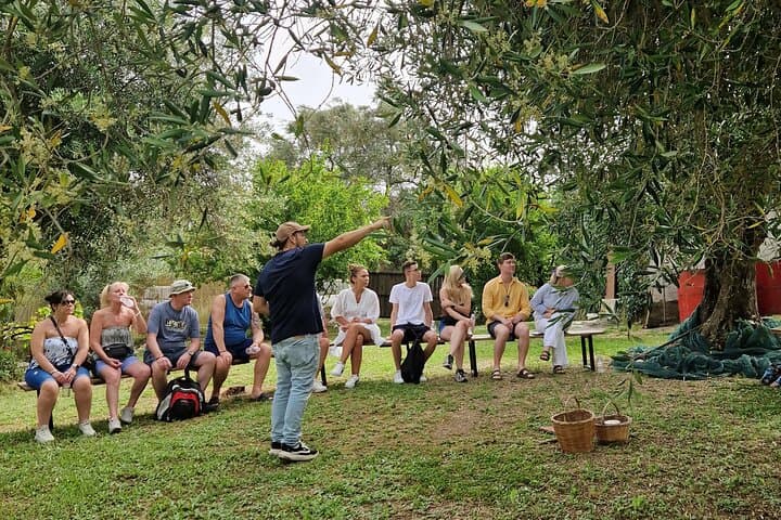 North Corfu Olive Tour: Olive Oil Tasting & Traditional Meze photo 2