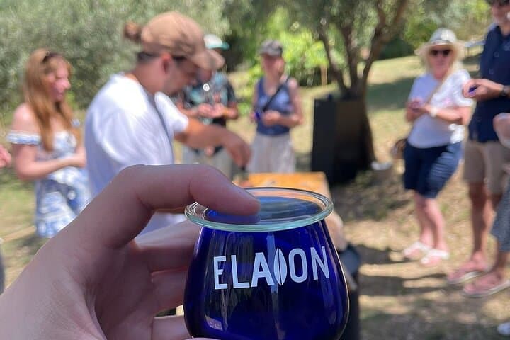 North Corfu Olive Tour: Olive Oil Tasting & Traditional Meze photo 5