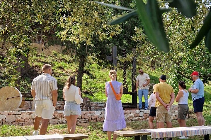 North Corfu Olive Tour: Olive Oil Tasting & Traditional Meze