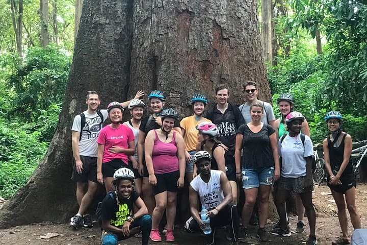 Moshi and Rau Forest Walking Tour: Mvule Tree, Colobus Monkeys & Local Culture