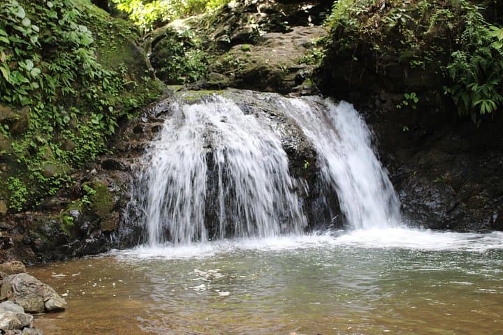 Hike 10 Waterfalls Near Jacó — Finca Los Solís Waterfall & Jungle Swim photo 3