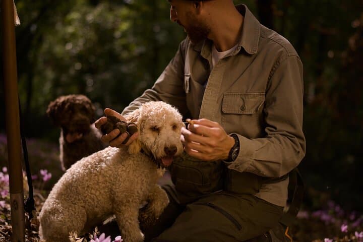 Truffle Hunting and Cooking Class in Rome's Countryside