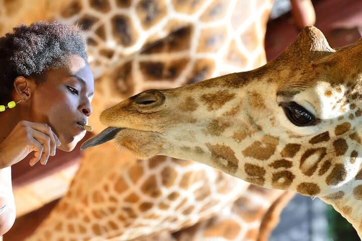 Nairobi Karen Blixen, Beads Factory & Giraffe Center Day Tour photo 4