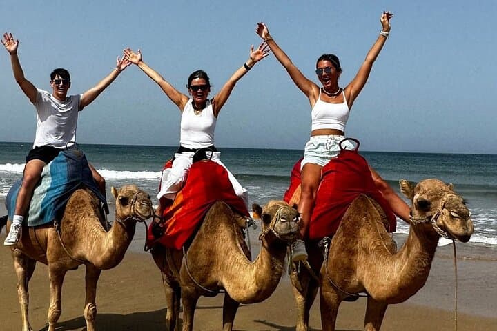 Tangier Private Day Trip from Málaga: Kasbah, Cape Spartel & Camel Ride