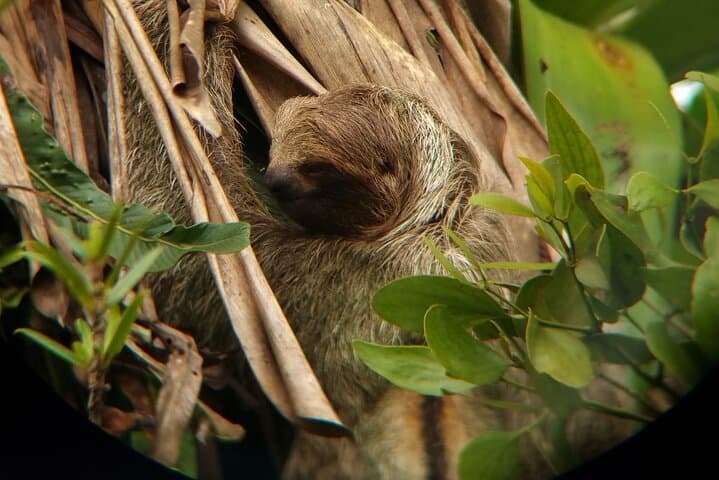 Wild Nature Experience: La Fortuna Rainforest Hike & Two Waterfalls photo 6