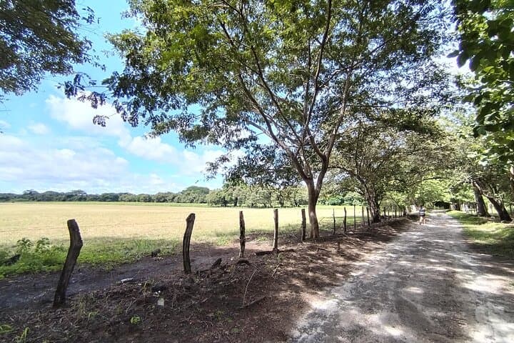 Cañas Dulces Mountain Bike & Natural Pool Ride — Liberia Countryside Adventure