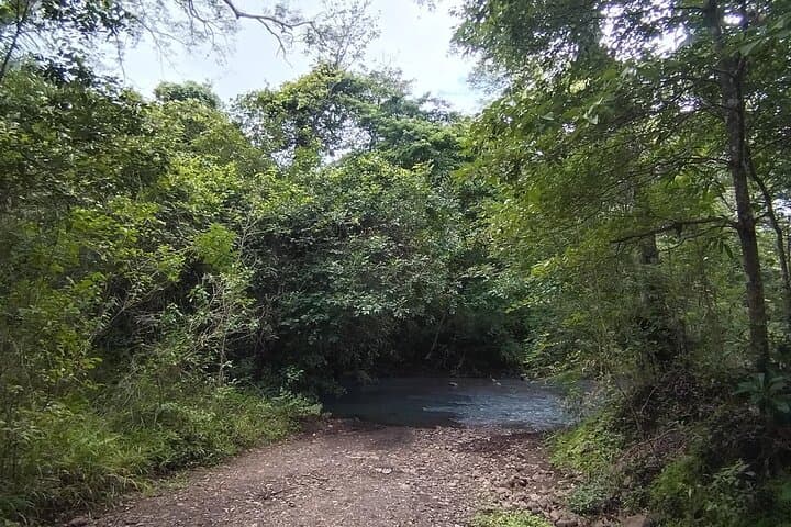 Cañas Dulces Mountain Bike & Natural Pool Ride — Liberia Countryside Adventure photo 2