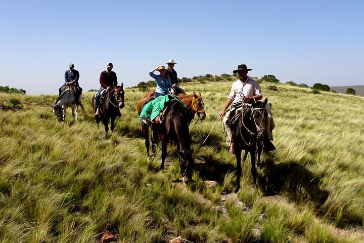 Gaucho Horseback Ride in Valle de Uco — Ranch Asado & Mountain Trails