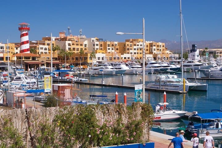 Cabo Combo Tour: Luxury SUV Coastal Drive, Beaches & Tequila Tasting