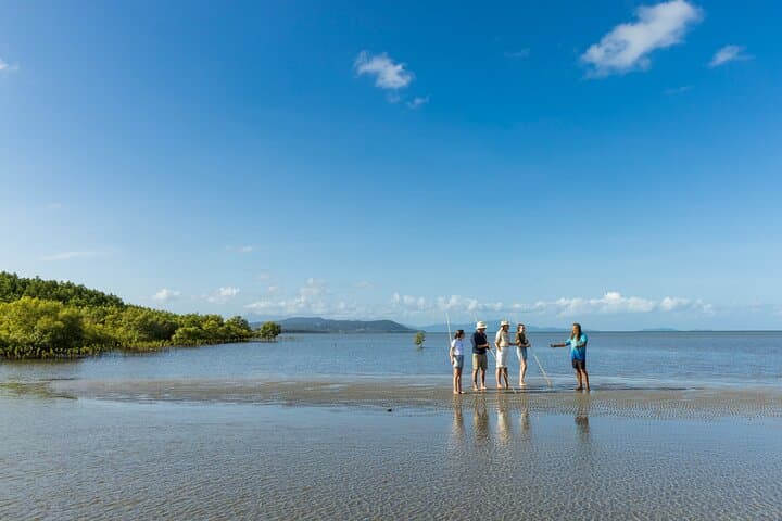 Daintree Rainforest & Aboriginal Coastal Adventure — Day Tour from Cairns