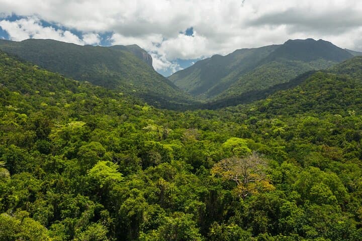 Daintree Rainforest & Aboriginal Coastal Adventure — Day Tour from Cairns photo 4