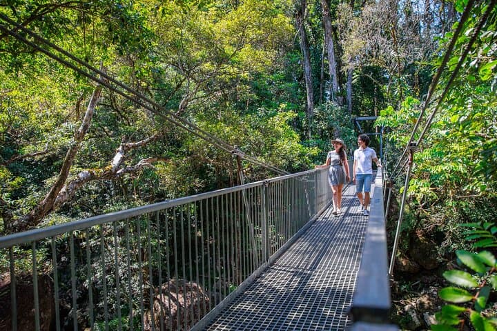 Daintree Rainforest & Aboriginal Coastal Adventure — Day Tour from Cairns photo 5