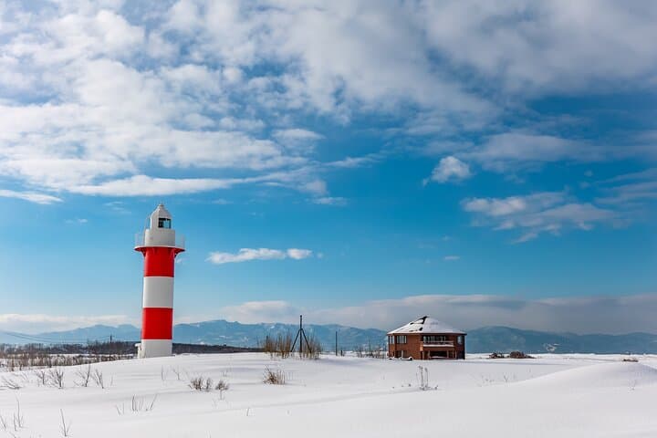 Winter Coastal Snowshoeing from Sapporo: Ishikari Beach Day Trip photo 3