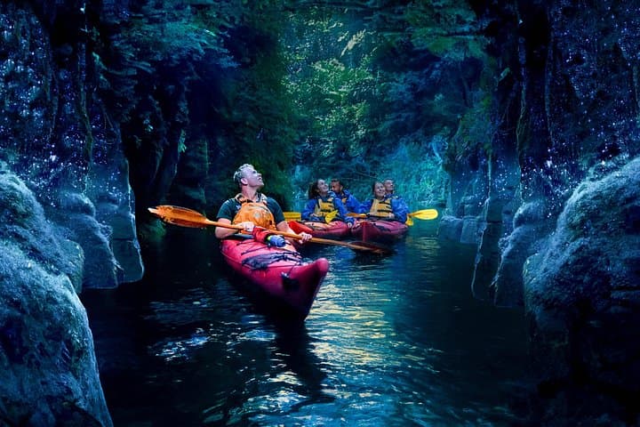 Tauranga Evening Glowworm Kayak Tour on Lake McLaren