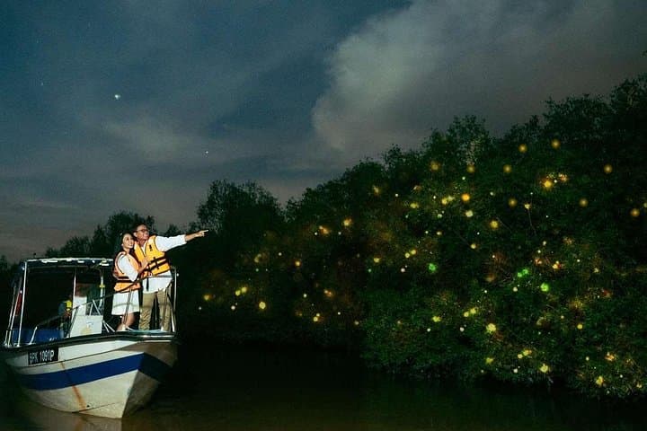 Kuala Selangor Fireflies Evening Boat Tour from Kuala Lumpur — How to See the River Light Up