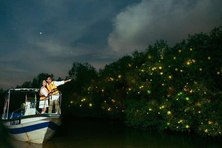 Kuala Selangor Fireflies Night Cruise — Batu Caves & Bukit Melawati