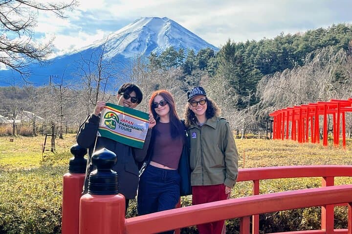 Mt Fuji and Hakone Day Tour — 5th Station, Hakone Ropeway & Lake Ashi Cruise photo 2
