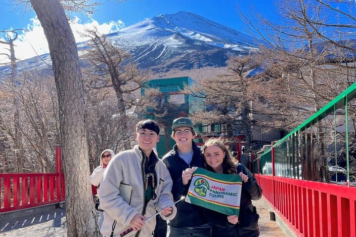 Mt Fuji and Hakone Day Tour — 5th Station, Hakone Ropeway & Lake Ashi Cruise photo 3