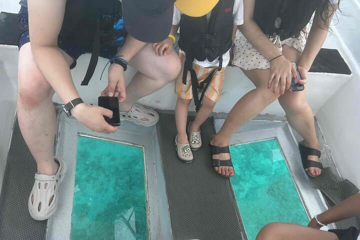 Glass-Bottom Boat Tour in Cebu: See Reefs Without Getting Wet photo 6