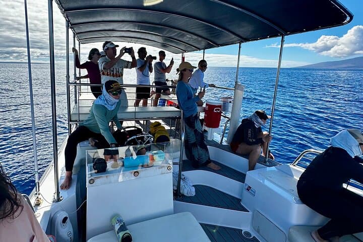 Lahaina 2-Hour Afternoon Whale Watch — Small-Group Boat Tour with Hydrophone photo 5
