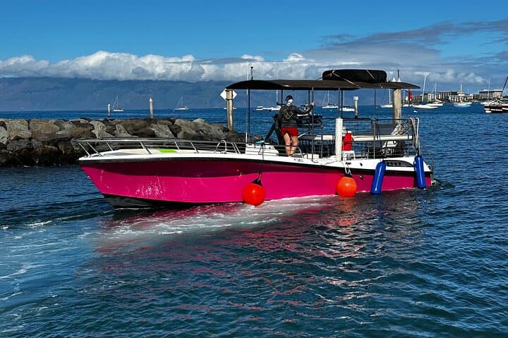 Maui Midday Whale Watch — Lahaina Mid Day Magic Boat Tour photo 2