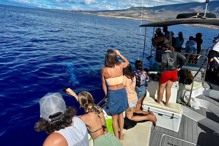 Maui Midday Whale Watch — Lahaina Mid Day Magic Boat Tour photo 3