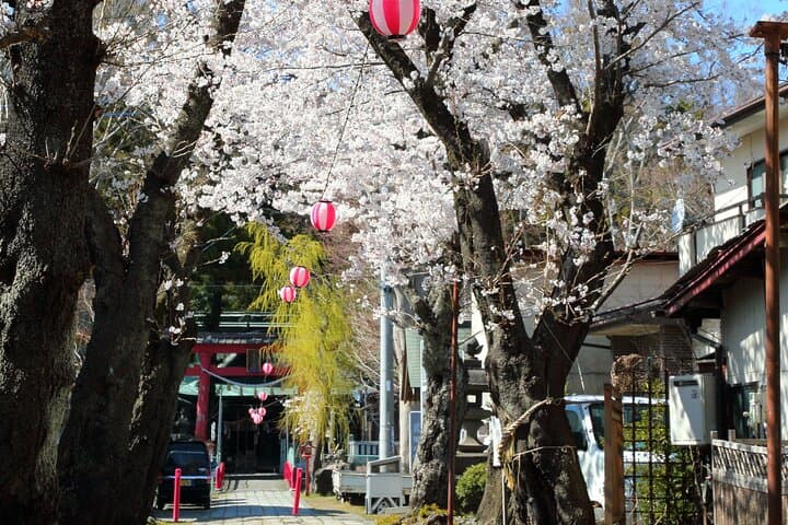Yabusame Horseback Archery with Mt Fuji Views — Fujiyoshida Experience photo 6