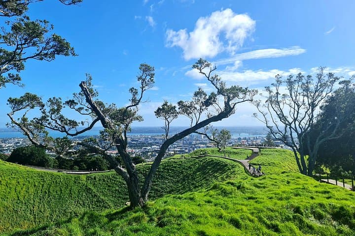 Auckland Hidden Gems: Half-Day Small-Group City Tour & Local Stories photo 2