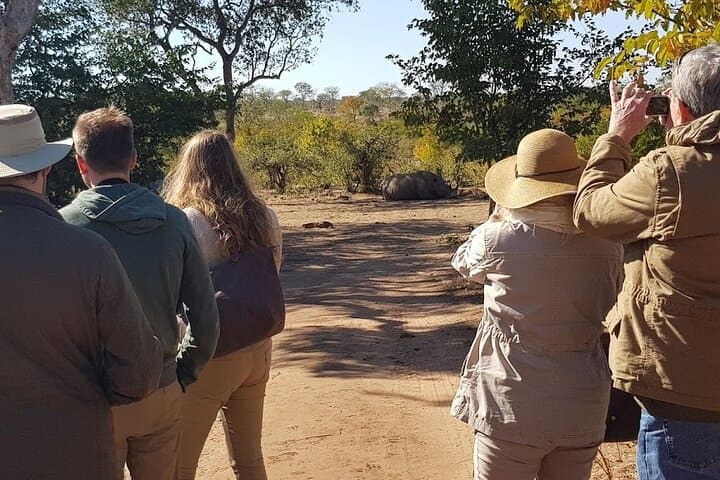 Mosi-oa-Tunya Rhino Walk and Game Drive — Livingstone Wildlife Experience