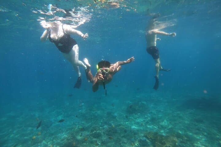 Nusa Penida Private Snorkeling & West Island Tour — Kelingking, Angel’s Billabong & Manta Bay photo 6