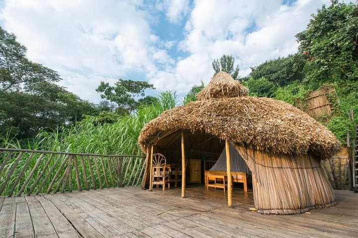 3-Day Gorilla Trekking in Bwindi and Lake Bunyonyi from Kigali photo 3