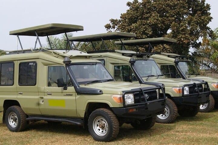 9-Day Kenya Classic Lodge Safari: Masai Mara, Amboseli & Tsavo photo 4