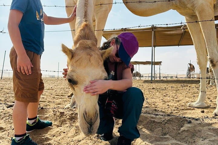 Sunset Dune Rush: Quad Biking Desert Safari Near Abu Dhabi photo 3