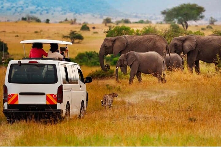 9-Day Kenya Classic Lodge Safari: Masai Mara, Amboseli & Tsavo photo 5