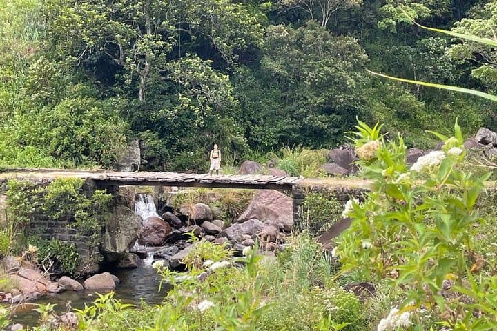 Hiking the Knuckles Mountain Range from Kandy — Day Hike into Sri Lanka’s Mist-Laden Peaks photo 2