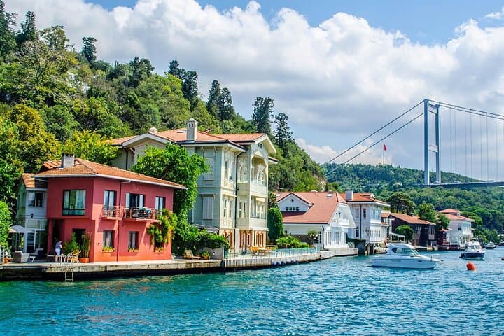 Luxury Bosphorus Yacht Cruise: Asian-Side Stop & Kanlıca Exploration photo 6