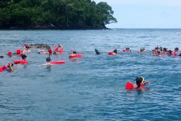 Manuel Antonio Snorkel and Whale & Dolphin Watching Boat Tour from Quepos photo 1