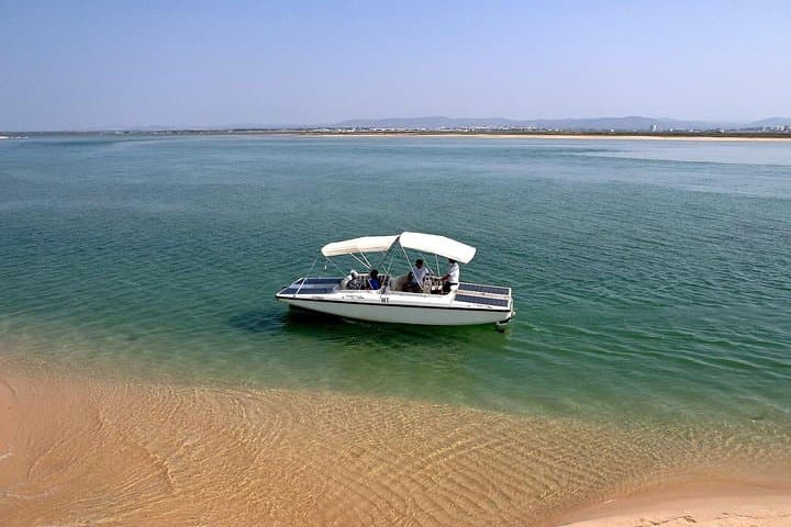 Solar-Powered Birdwatching in Ria Formosa: Eco Boat Tour from Faro photo 4