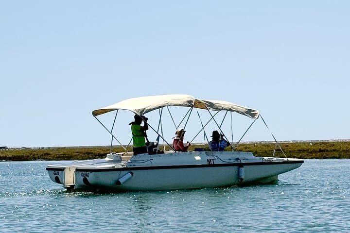 Eco Solar Boat Tour in Ria Formosa Lagoon — Faro's Sustainable Wildlife Cruise photo 3