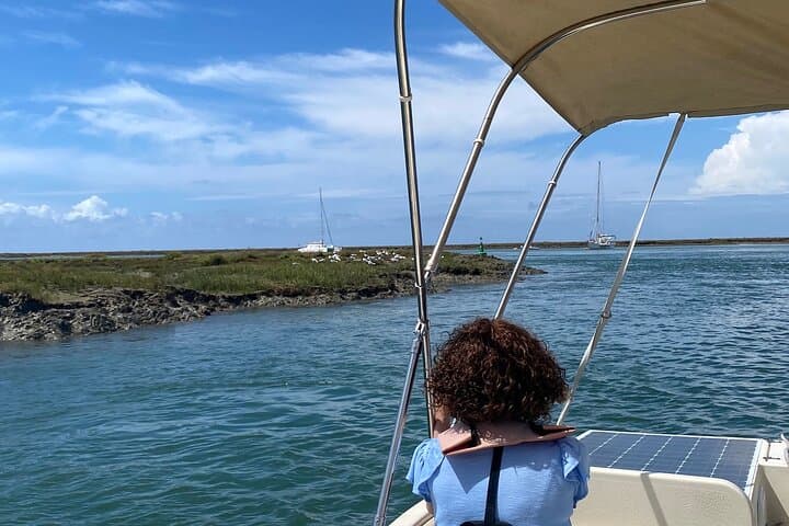 Eco Solar Boat Tour in Ria Formosa Lagoon — Faro's Sustainable Wildlife Cruise photo 2
