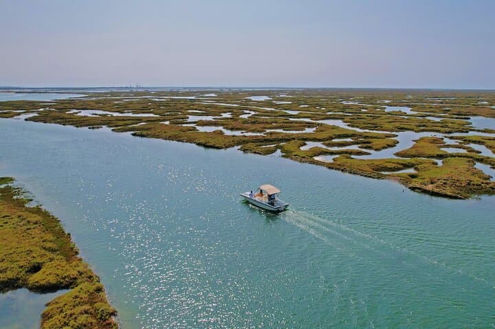 Eco Solar Boat Tour in Ria Formosa Lagoon — Faro's Sustainable Wildlife Cruise photo 4