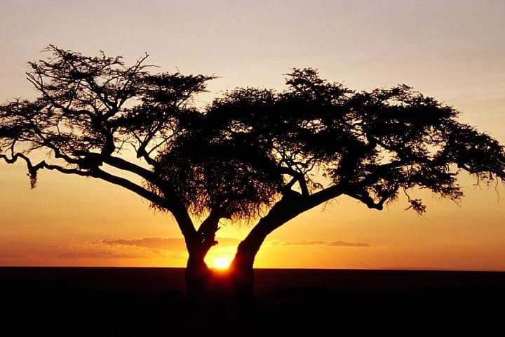 2-Day Hluhluwe Imfolozi Safari and iSimangaliso Wetlands Adventure photo 1