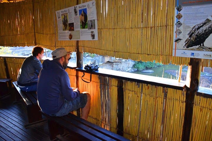 2-Day Hluhluwe Imfolozi Safari and iSimangaliso Wetlands Adventure photo 2