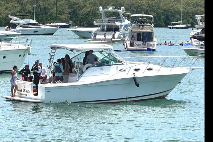 Miami Private 38' Express Cruiser Yacht Charter in Biscayne Bay